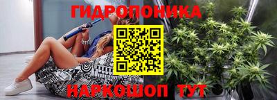 гашик Волжский