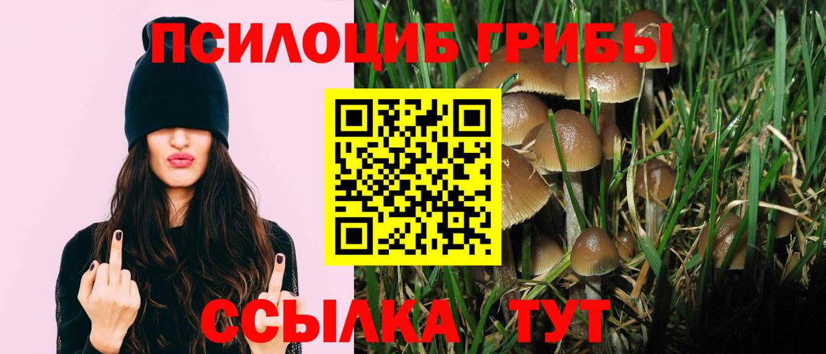 Псилоцибиновые грибы мухоморы Кубинка