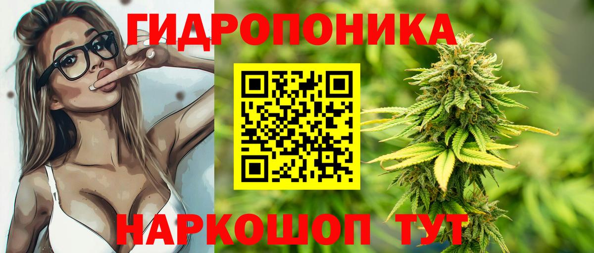 Кубинка  Канабис Amnesia  Вход с VPN  Конопля сатива 